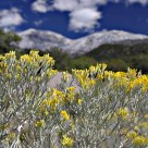 A Hike in the Sandia Mountains